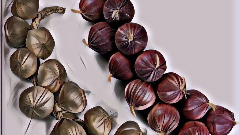 Mudah Lawan Kanker Bermodal Bawang Merah Bawang Putih