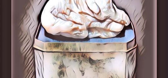 Harga Fantastis Untuk Mutiara yang Tak Berbentuk Bulat