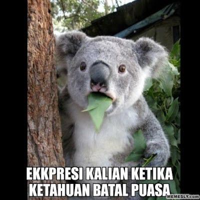 6. Ekspresi ketika ketahuan batal puasa, be like...