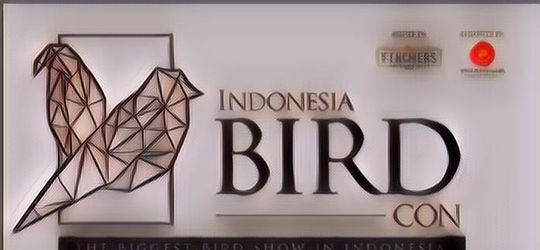 Indonesia Bird Con, Ajang Burung Paling Besar di Indonesia