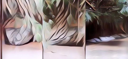 Heboh di Thailand Ada Batu Besar yang Bentuknya Mirip Ular Raksasa!