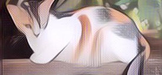 Deretan Binatang Paling Setia yang Setianya Bisa Melebihi Pasangan Kamu, Lho!