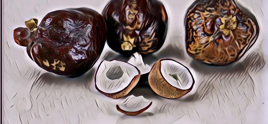 Mengenal Berbagai Manfaat Buah Zuriat yang Banyak Nutrisi Penting untuk Kesehatan