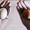 Bisa Jadi Menu Andalan MPASI, Berikut Perbandingan Nutrisi Telur Ayam dan Telur Bebek