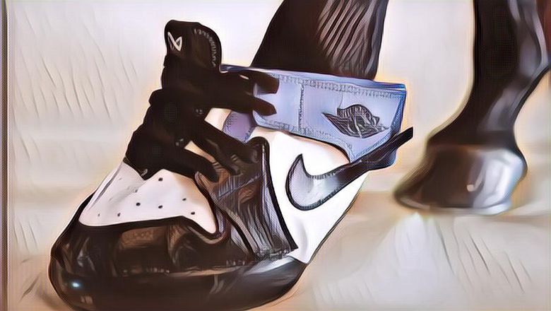 Wah, Ada Sneakers Khusus Kuda Harganya Capai Belasan Juta Rupiah!