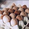 Hati-Hati, Jangan Keseringan Makan Telur Setiap Hari Jika Tak Mau Kena Efeknya