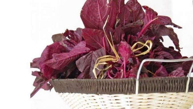 5. Sumber Protein Nabati