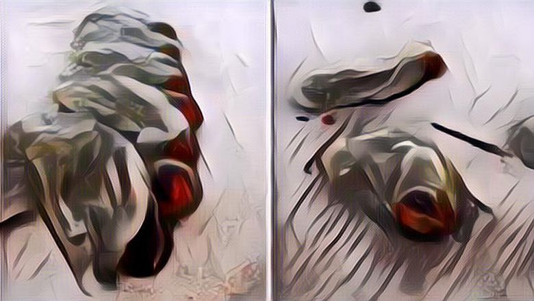 Heboh Ada Makhluk Asing Mirip Alien Terdampar di Pantai Australia