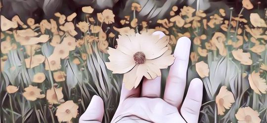 Liburan ke Taman Bunga di Bandung, Panoramanya Cantik Banget Nih, Kayak Kamu...