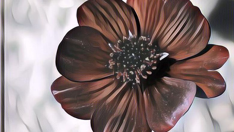 Sederet Bunga Paling Langka Di Dunia, Wajib Dilindungi!