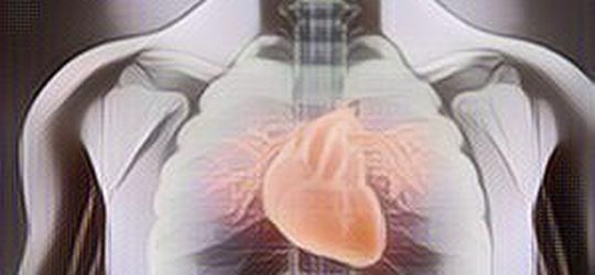 Waspada Penyakit Gagal Jantung yang Mulai Marak Serang Anak Muda, Ini Gejalanya!