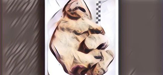 Begini Penampakan Anak Singa Berusia 28.000 Tahun