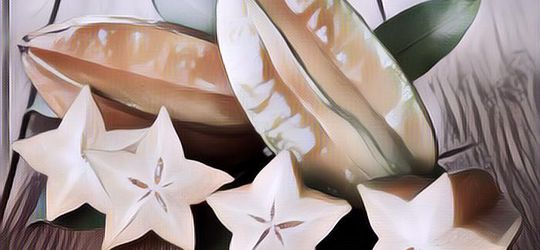 Manfaat Buah Belimbing, Rasa Segar Bikin Bugar Siapa yang Nggak Mau?