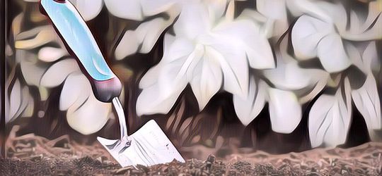 Masalah Dalam Berkebun Biasanya Ada di Tanah, Kenali Jenis Tanah-Tanah Yang Bermasalah Ini~