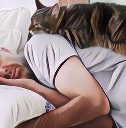 Kenapa Kucing Suka Banget Tidur di Tubuh Kita? Ini 5 Alasannya!