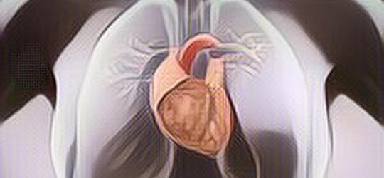 Waspada 7 Gejala Penyakit Gagal Jantung Berikut Ini! Jangan Sampai Terlambat