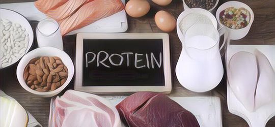 Makanan yang Mengandung Protein, Wajib Disimak