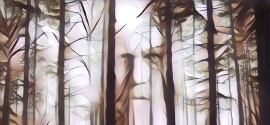 Cerita Misteri Alas Roban Part 2