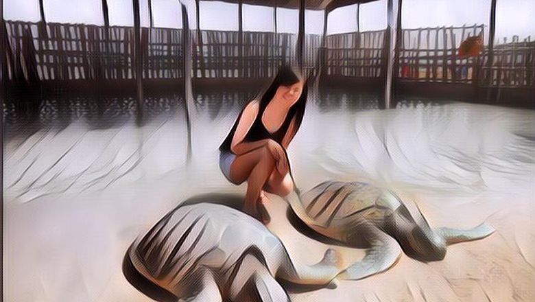 Liburan ke Pulau Penyu, Pulau yang Bisa Bikin Kamu Suka Penyu