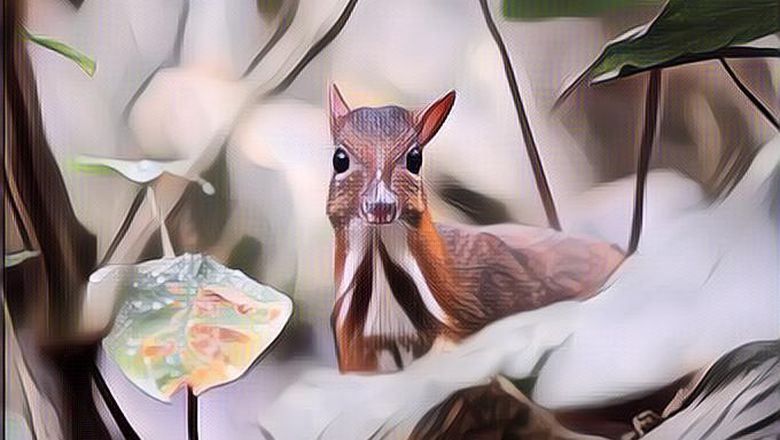 Dongeng Bahasa Jawa Singkat Kancil dan Pak Tani