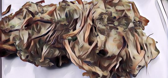 Rekomendasi Camilan Berbuka Puasa: Bakwan Sayur Renyah, Intip Resepnya!