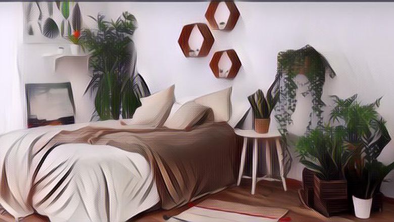 Enggak Nyangka, Tanaman Hias dalam Kamar Tidur Ini Bisa Bikin Tidur Kamu Berkualitas