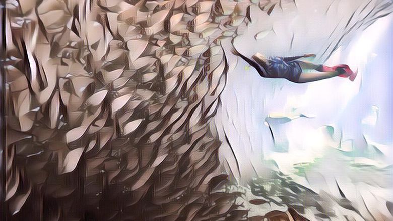 3 Spot Scuba Diving Terbaik di Dunia, Ada Indonesia Nggak Ya?