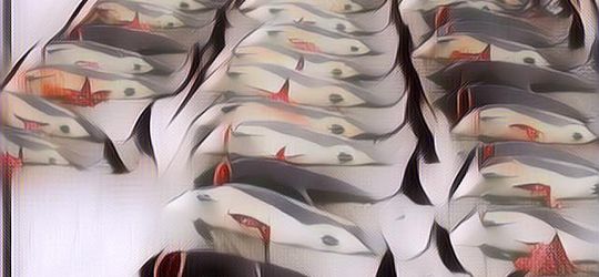 Tak Hanya Buang Limbah Nuklir, Jepang Juga Jadi Salah Satu Negara yang Terlibat dalam Pembantaian Paus