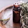 TOP Banget! Berikut 8 Manfaat Tea Tree Oil untuk Kulit dan Kecantikan yang Wajib Kamu Tahu