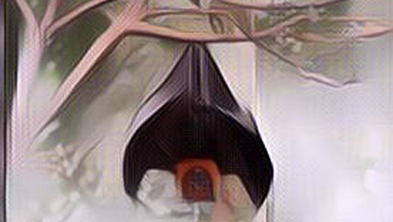 Pria Ini Dikritik Banyak Orang Gegara Makan Indomie Pakai Kelelawar