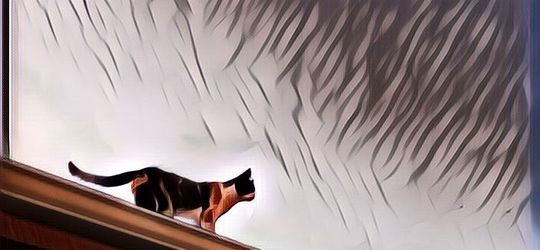 Ini Alasan Kenapa Kucing Dapat Julukan 'Makhluk 9 Nyawa', Ternyata Emang Sehebat Itu!