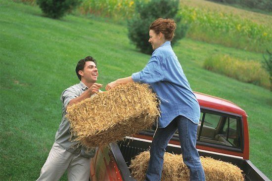 Lithuania : Tave myliu