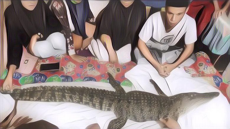 Heboh Buaya Diyakini Kembaran Manusia, Mitos Bugis-Makassar Jadi Asal-usulnya