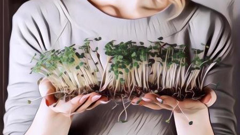 Microgreen Solusi Jitu Ketahanan Pangan Nasional di Tengah Pandemi yang Berkepanjangan