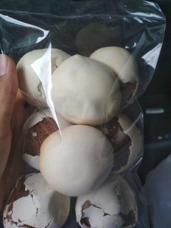 7. Endog Bulus (Telur Kura-kura)