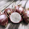 5 Kebun Buah Naga yang Ada di Berbagai Daerah