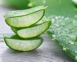 3. Gunakan Lidah Buaya