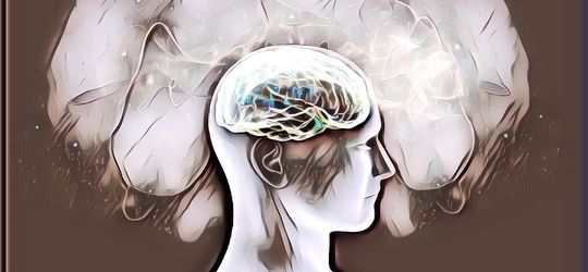 Mengenal 4 Kecerdasan Utama Manusia: IQ, EQ, SQ, dan AQ, Apa Bedanya?