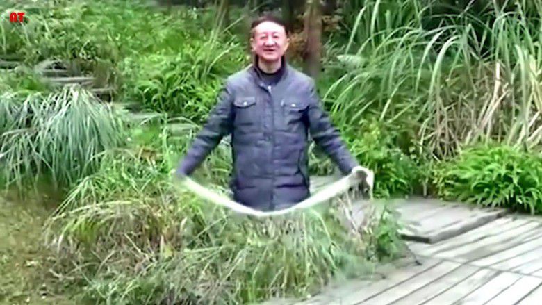 4. Jubah tembus pandang