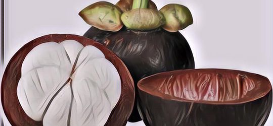 Manfaat Manggis Buat Kesehatan, Dari Buah Hingga Ranting Punya Khasiat