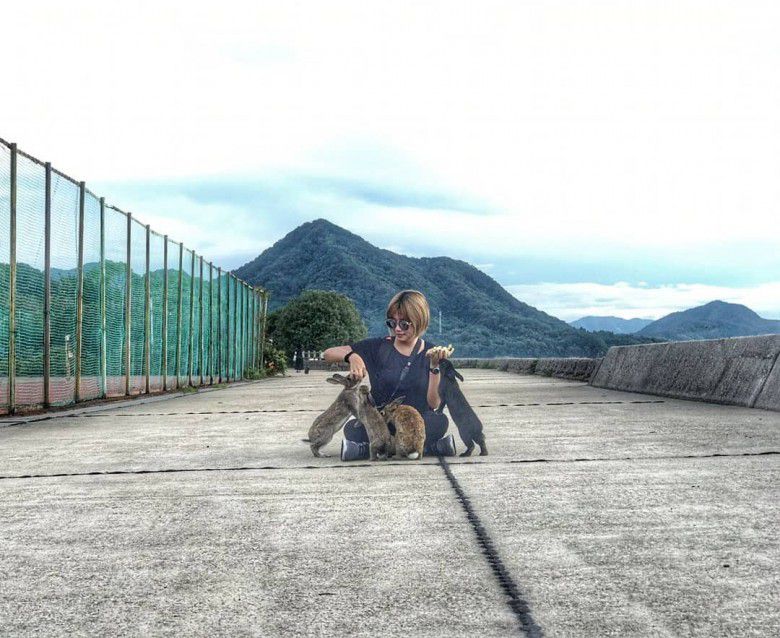  #Main sama kelinci di Okunoshima