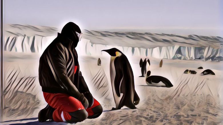 Antartika Jadi Satu-satunya Benua yang Gak Bakalan Panik akan Covid-19!