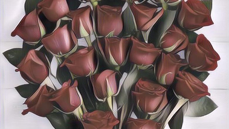 Arti Warna Bunga Mawar Ternyata Berbeda-beda, Jangan Keliru ya...