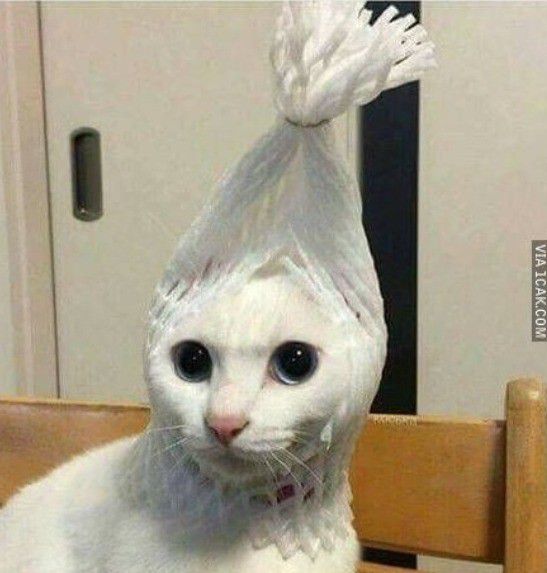 # Kalau tiba-tiba nemu pocong kayak gini, kira-kira kamu bakal takut atau malah gemas?