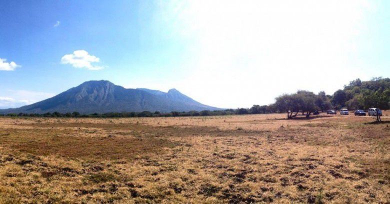 5. Savana Bekol - Taman Nasional Baluran