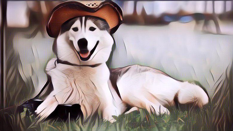 1.  Lebih sering bergerak