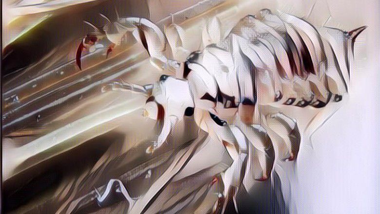 Bahaya Kutu Rambut: Ngeri Banget, Jangan Sampai Kejadian!