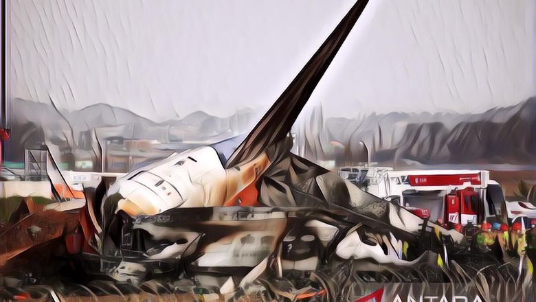 Pesawat Jeju Air Jatuh Saat Hendak Mendarat di Bandara Internasional Muan, Saksi Mata Ungkap Fakta Mengerikan