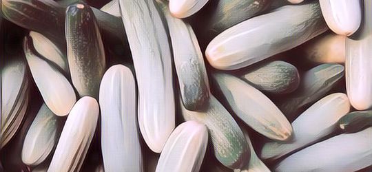 Kandungan Nutrisi Mentimun dan Manfaatnya untuk Kesehatan