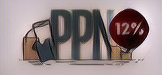 Daftar Barang dan Jasa Bebas PPN 12% Masih Bisa Belanja Banyak